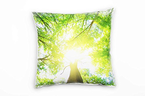 Paul Sinus Art Frühling, grün, gelb, lichtdurchfluteter Laubwald Deko Kissen 40x40cm für Couch Sofa Lounge Zierkissen - Dekoration zum Wohlfühlen von Paul Sinus Art