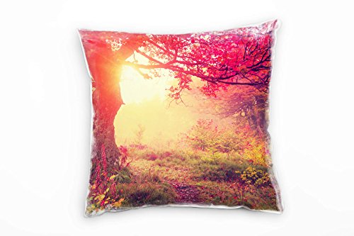 Paul Sinus Art Herbst, Laubwald, lichtdurchflutet, rot, braun Deko Kissen 40x40cm für Couch Sofa Lounge Zierkissen - Dekoration zum Wohlfühlen von Paul Sinus Art