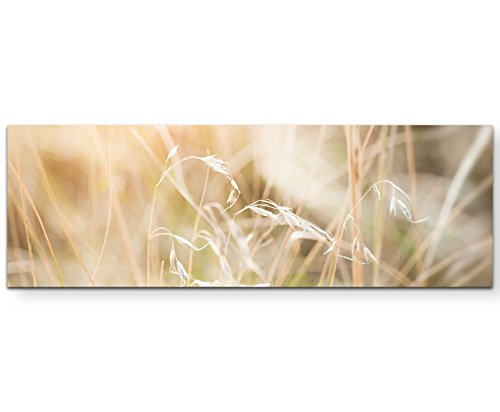 Paul Sinus Art Leinwandbilder | Bilder Leinwand 120x40cm Gras im Feld von Paul Sinus Art