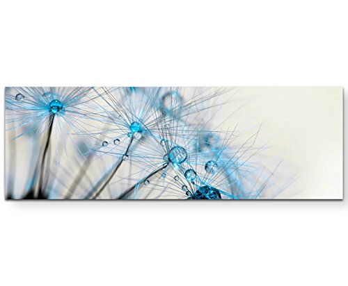 Paul Sinus Art Leinwandbilder | Bilder Leinwand 120x40cm Wassertropfen auf Pflanze von Paul Sinus Art