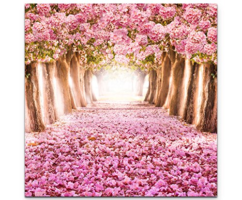 Paul Sinus Art Leinwandbilder | Bilder Leinwand 60x60cm Allee aus rosa Blüten von Paul Sinus Art