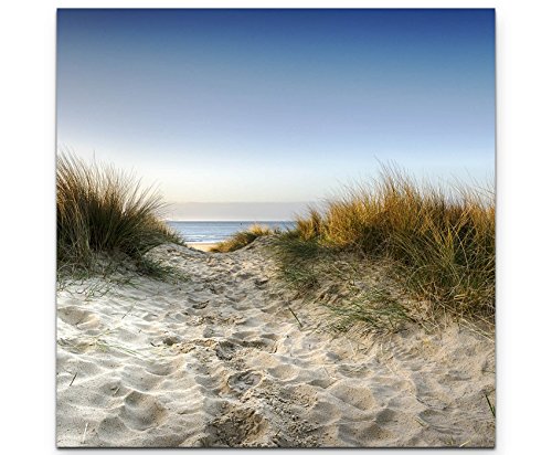 Paul Sinus Art Leinwandbilder | Bilder Leinwand 60x60cm Weg zum Strand durch Sanddünen von Paul Sinus Art