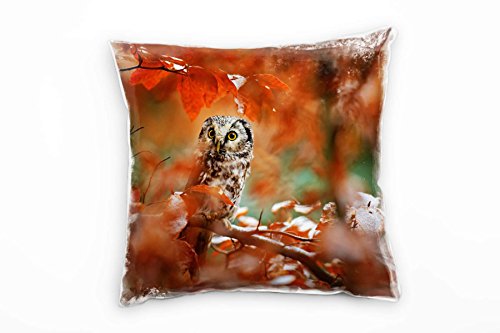 Paul Sinus Art Tiere, Eule, Herbst, rot, braun Deko Kissen 40x40cm für Couch Sofa Lounge Zierkissen - Dekoration zum Wohlfühlen von Paul Sinus Art