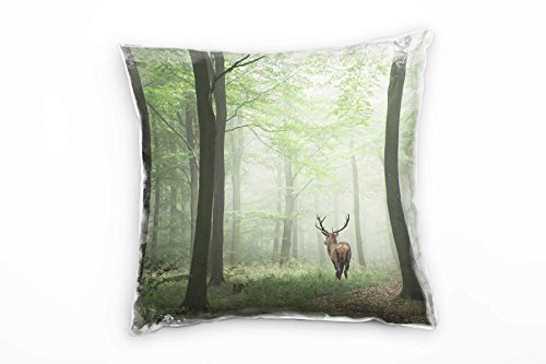 Paul Sinus Art Tiere, Rothirsch, Wald, Dunst, Herbst, grün, braun Deko Kissen 40x40cm für Couch Sofa Lounge Zierkissen - Dekoration zum Wohlfühlen von Paul Sinus Art