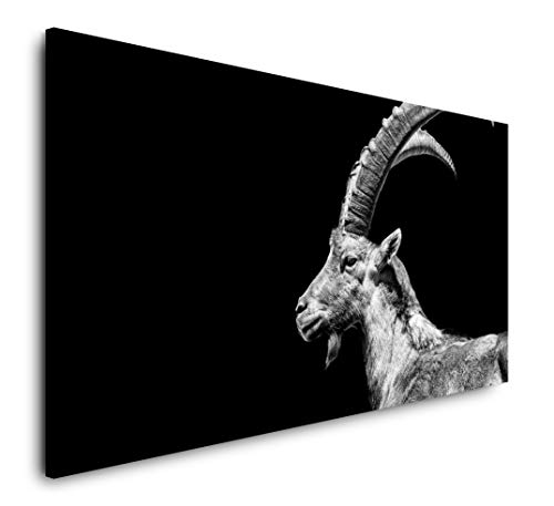 Steinbock 120x 60cm Panorama Leinwand Bild XXL Format Wandbilder Wohnzimmer Wohnung Deko Kunstdrucke Steinbock 120x 60cm Panorama Leinwand Bild XXL Format Wandbilder Wohnzimmer Wohnung Deko Kunstdrucke von Paul Sinus Art