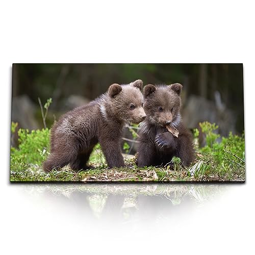 Paul Sinus Kunstdruck Bilder 120x60cm Kleine Bären im Wald Babybär Natur Tierfotografie von Paul Sinus