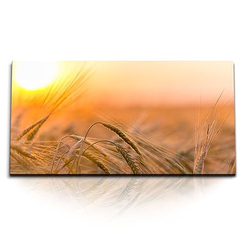 Paul Sinus Kunstdruck Bilder 120x60cm Sommer Sonnenuntergang Feld Natur Weizen von Paul Sinus