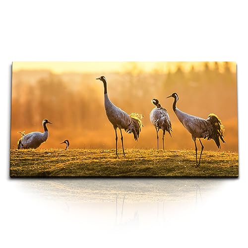 Paul Sinus Kunstdruck Bilder 120x60cm Tierfotografie Kraniche Natur Sonnenuntergang Vögel von Paul Sinus