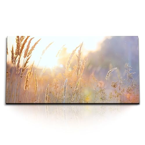 Paul Sinus Kunstdruck Bilder 120x60cm Weizen Weizenfeld Halme Sommer Landschaft Natur von Paul Sinus