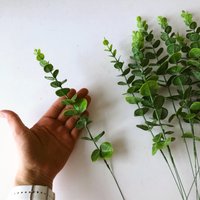 Künstlicher Eukalyptus 1 Stiel, Kleiner Füller, Blumenstrauß, Kunstblumen, Blumenkrone, Grünes Laub, 40 cm von PaulettaCrafts