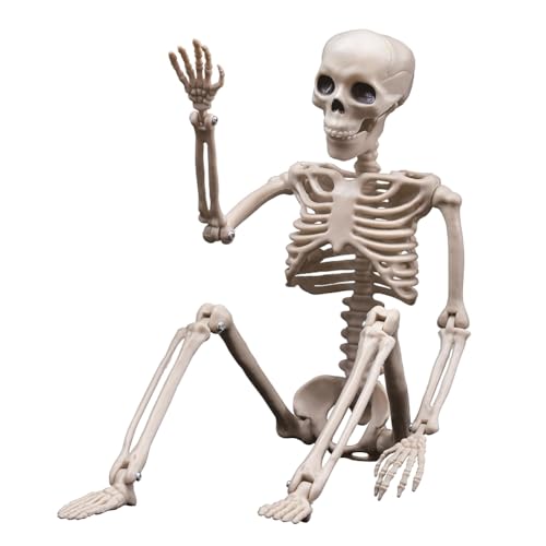 Pcivzxam 1 Stück Halloween Skelette Dekorationen Ganzkörper Skelett mit beweglichen Gelenken Weiß von Pcivzxam