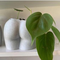 Original Peachy Butt Planter© | Mehrere Größen Verfügbar Nachhaltiger 3D-Gedruckter Biokunststoff Sukkulenten Übertopf Körperpflanzer Heimdekoration von PeachyPilea