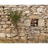 Tan Stone Wand Mit Fenster Und Baum - Aquarium Hintergrund Petbackdrops Wiederverwendbare Glas Tank | Verschiedene Größen Verfügbar von PetBackdrops