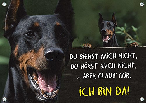 Hundeschild Dobermann Pinscher - stabiles Schild aus 1,5 mm Metallplatte - bis DIN A3 bestallbar, DIN A4 von Petsigns