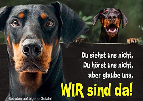 Hundeschild Dobermann Pinscher - stabiles Schild aus 1,5 mm Metallplatte - bis DIN A3 bestallbar, DIN A4 von Petsigns