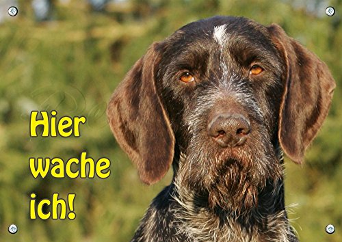 Petsigns Deutsch Drahthaar - Hundewarnschild - Exklusives Alu Schild - 1A Qualität, 2. DIN A4 von Petsigns