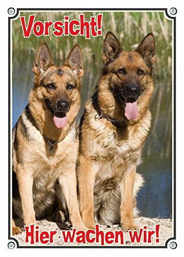 Petsigns Deutscher Schäferhund - Warnschild - Metallschild 2 Hunde - TOP Qualität, DIN A5 von Petsigns