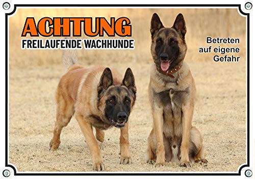 Petsigns Hundeschild Achtung Malinois - Warnschild aus Metall - Belgischer Schäferhund, DIN A5 von Petsigns