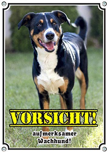 Petsigns Hundeschild Appenzeller Sennenhund - Exklusives Warnschild in 1A Qualität, DIN A4 von Petsigns