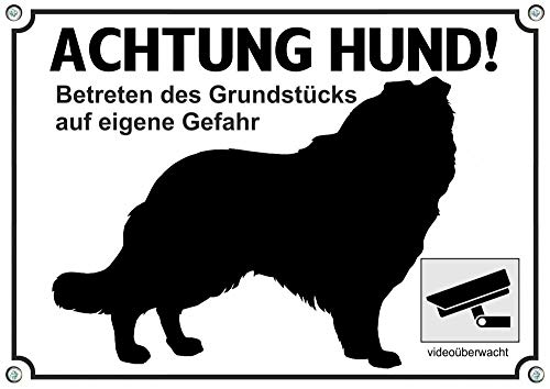 Petsigns Hundeschild Collie - hochwertiges Warnschild Langhaarcollie - Achtung Hund! - VIDEOÜBERWACHT, DIN A4 von Petsigns