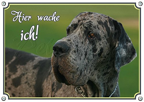 Petsigns Hundeschild Deutsche Dogge - Hier WACHE ICH! stabiles Alu Schild - UV beständig, DIN A4 von Petsigns