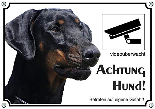 Petsigns Hundeschild - Dobermann - uv-beständiges Schild mit Videoüberwachung, DIN A5 von Petsigns