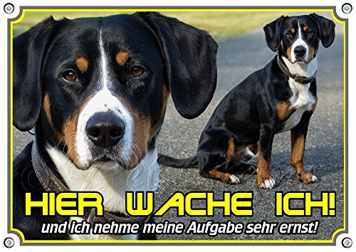 Petsigns Hundeschild Entlebucher Sennenhund - Hier wache ICH - Warnschild, DIN A5 von Petsigns