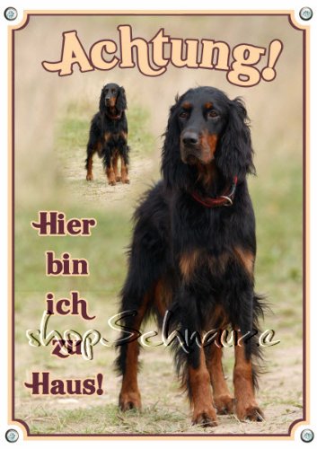 Petsigns Hundeschild - Gordon Setter - Robustes Alu Schild - wetterfest und UV beständig, DIN A4 von Petsigns