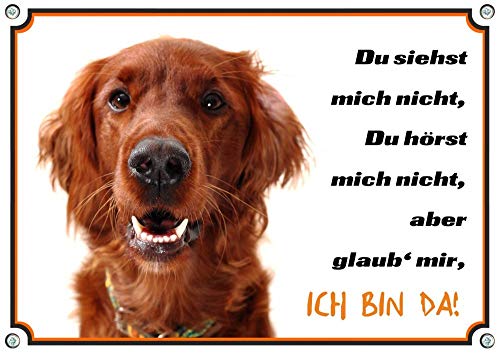 Petsigns Hundeschild Irish Red Setter - Exklusives Warnschild in Fotoqualität - Metall, DIN A5 von Petsigns