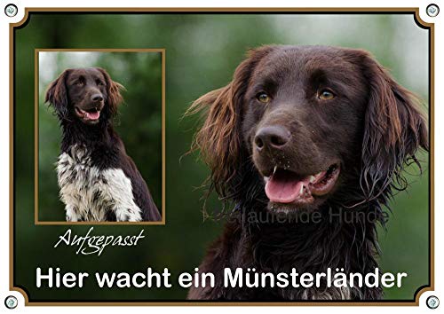 Petsigns Hundeschild Kleiner Münsterländer - Warnschild aus Aluminium - wetterfest,uv beständig, DIN A5 von Petsigns