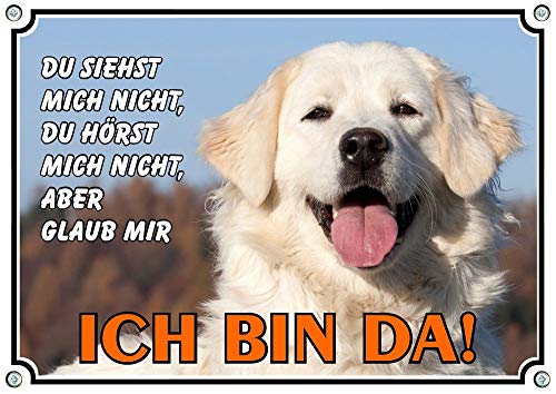 Petsigns Hundeschild Kuvasz - Metallschild - haltbares TOP Warnschild rostfrei, DIN A4 von Petsigns