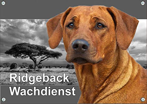 Petsigns Hundeschild Rhodesian Ridgeback RR - Warnschild - uv-beständig, DIN A4 von Petsigns