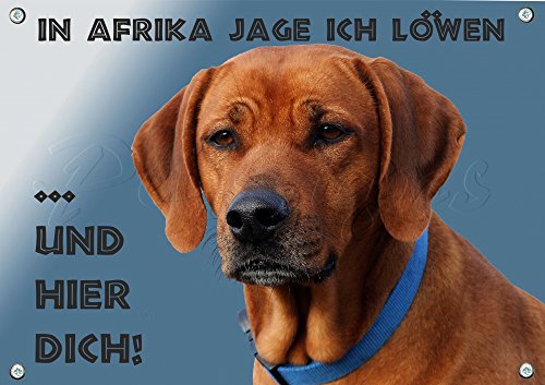 Petsigns Hundeschild Rhodesian Ridgeback - wetterbeständiges Metall Warnschild, DIN A5 von Petsigns