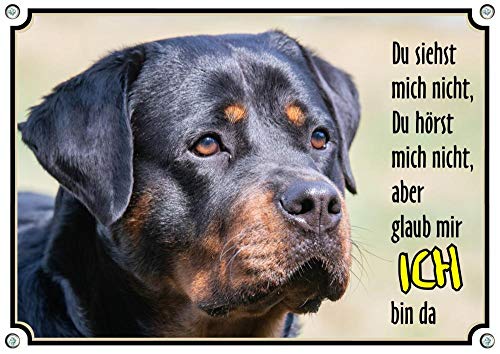 Petsigns Hundeschild - Rottweiler - Warnschild Wachhund - uv-beständiges Metallschild, DIN A4 von Petsigns