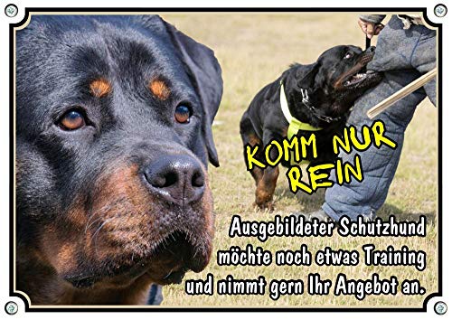 Petsigns Hundeschild - Rottweiler - Warnschild mit lustigem Spruch - Schutzhund - Komm nur rein, DIN A4 von Petsigns