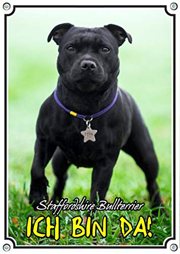 Petsigns Hundeschild mit schwarzem Staffordshire Bullterrier - hochwertiges Warnschild aus 100% Alu, DIN A4 von Petsigns