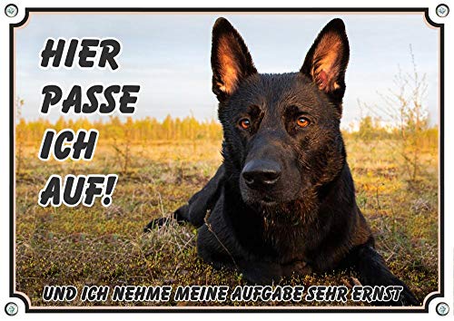 Petsigns Hundeschild schwarzer Deutscher Schäferhund - uv-beständiges Warnschild aus Metall, DIN A5 von Petsigns