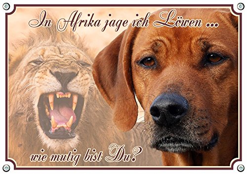 Petsigns Rhodesian Ridgeback - Hundeschild - Metallschild - Warnschild bis DIN A3 bestellbar, DIN A5 von Petsigns