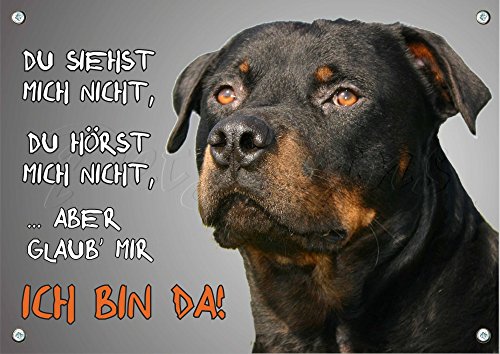 Petsigns Rottweiler - Hundeschild aus Metall - rostfreies Warnschild in TOP Qualität, DIN A4 von Petsigns