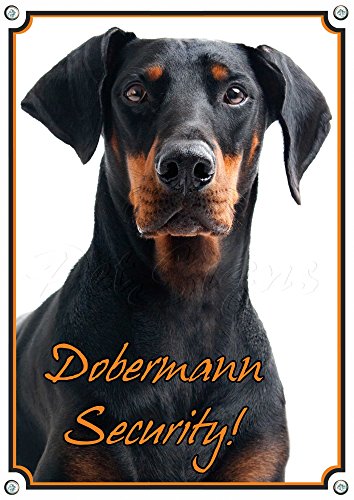Petsigns Warnschild Dobermann - Security! Hundeschild - stabiles Metallschild, DIN A5 von Petsigns