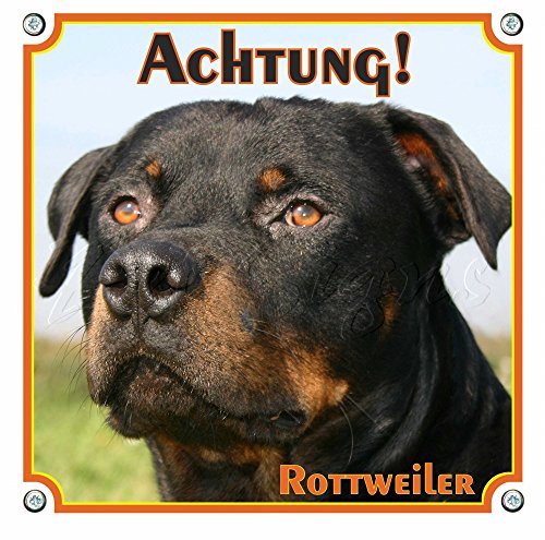 Petsigns Warnschild Rottweiler - Achtung Rottweiler - Exklusives Hundeschild aus Metall, 20 x 20 cm von Petsigns