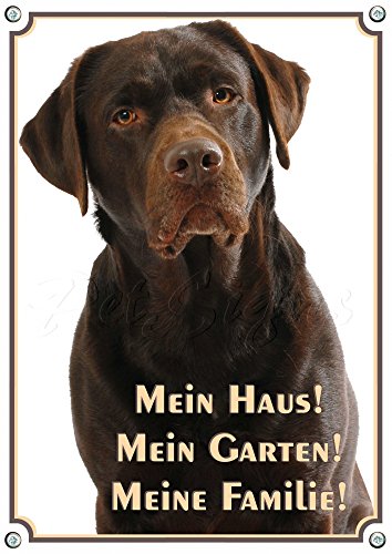 Petsigns Warnschild brauner Labrador - Mein Haus! Hundeschild aus Stabiler Metallplatte, DIN A4 von Petsigns