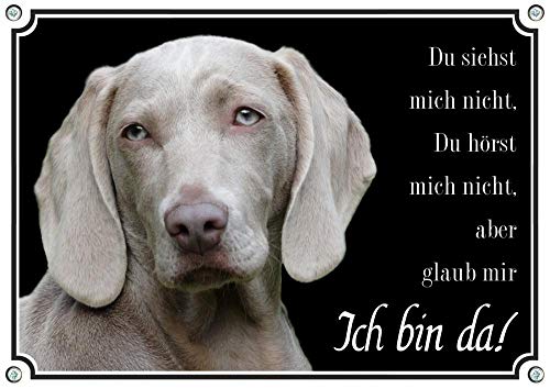 Petsigns Weimaraner - Hundeschild - Warnschild aus Metall - uv-beständig, DIN A5 von Petsigns