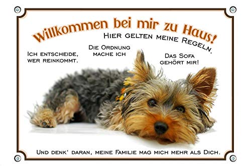 Petsigns Willkommen Yorkshire Terrier - Hundeschild - Lustiges Schild Meine Regeln, DIN A5 von Petsigns