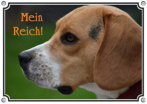 Petsigns ausdrucksstarkes Hundeschild mit Beagle - uv-beständiges Warnschild aus Aluminium, DIN A4 von Petsigns