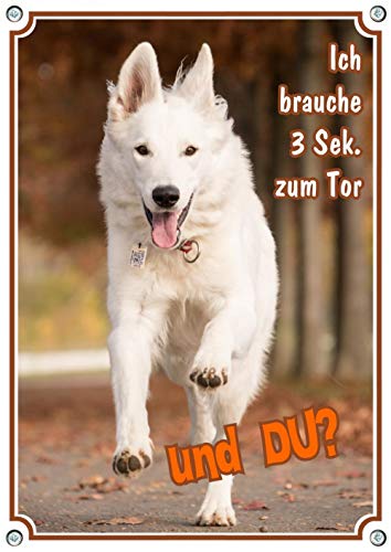 Petsigns wunderschönes Warnschild - Weißer Schweizer Schäferhund - stabiles Hundeschild - uv-beständig, DIN A5 von Petsigns