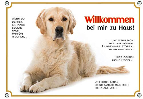 einzigartiges Hundeschild Golden Retriever - Willkommens Warnschild aus Metall, DIN A4 von Petsigns