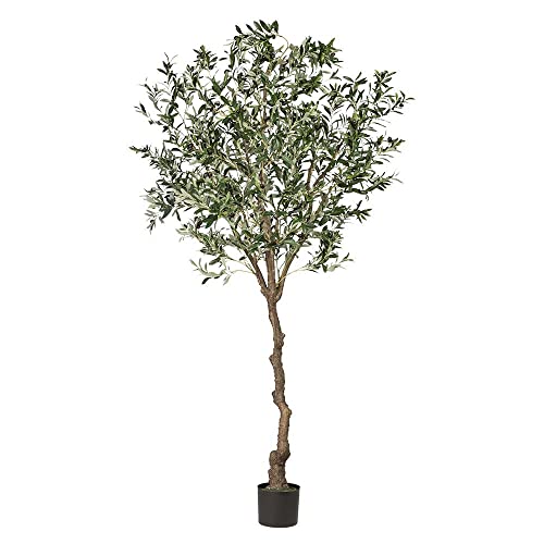 Pflanzen Kölle Kunstpflanze Olivenbaum mit Kunststoffstamm, ca. 240 cm hoch, im Topf von Pflanzen Kölle
