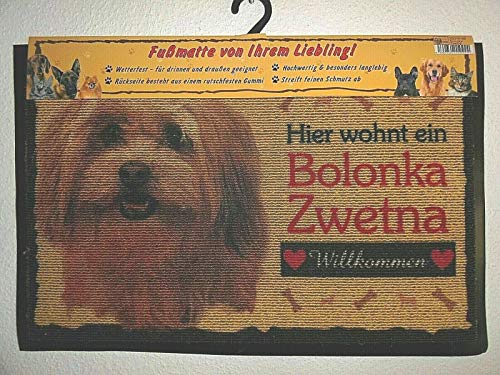 Pfronten Fußmatte Bolonka Zwetna (6), Fußabtreter, Türvorleger, Türmatte Hund wetterfest von Pfronten