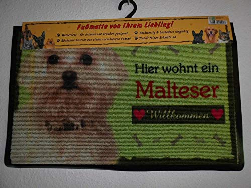 Pfronten Fußmatte Malteser (35), Fußabtreter, Türvorleger, Türmatte wetterfest, Hund von Pfronten